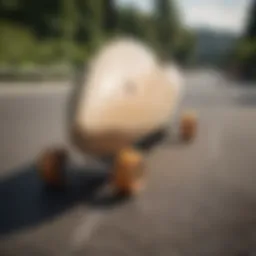 A detailed view of the Arbor Zeppelin skateboard showcasing its unique design elements and craftsmanship.