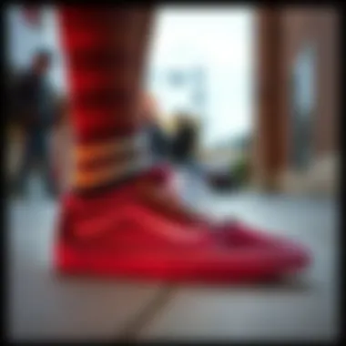 Stylish Socks for Vans A collection of stylish socks designed for Vans footwear