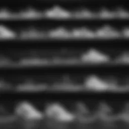 A collection of black and white adidas shoes showcasing various styles