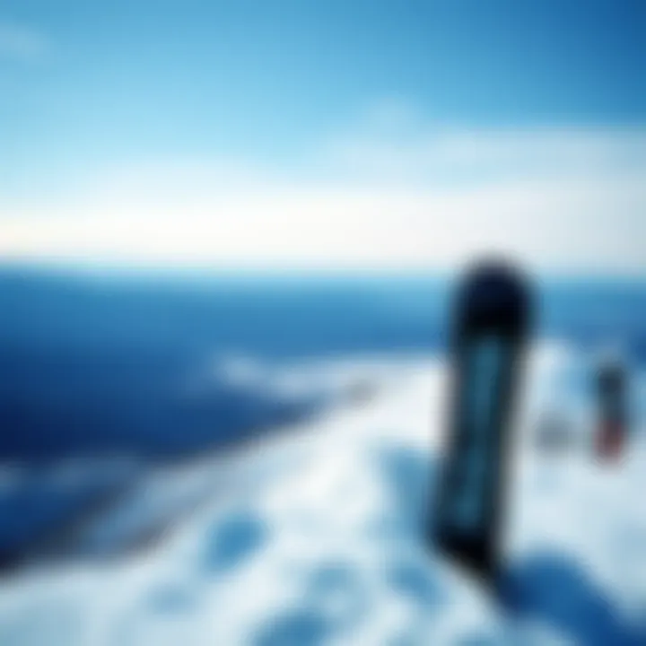 Performance analysis of the Burton Black Snowboard on varied terrains.