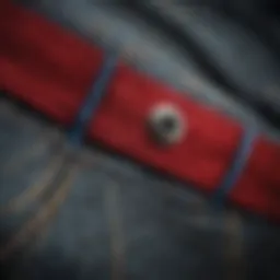 Close-up of Crooks pants showcasing fabric texture and stitching details.