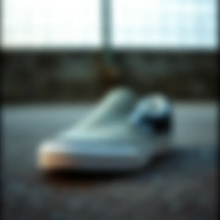 Maintenance Tips for Slip-On Vans Tips for maintaining slip-on Vans to prolong their lifespan