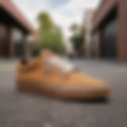 Vans Chukka Low Gum showcasing sleek design and colors