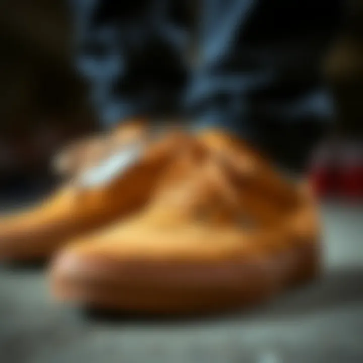 Visual Maintenance Tips for Lakai Suede Shoes Maintenance tips for Lakai suede shoes displayed visually