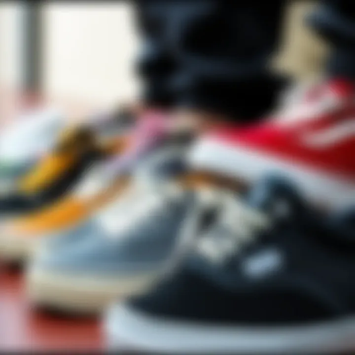 Diverse Styles of Low Top Vans Various low top Vans styles displayed together