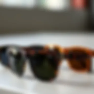 Comparative display of Oakley Holbrook XL tortoise shell sunglasses alongside other models for visual contrast.