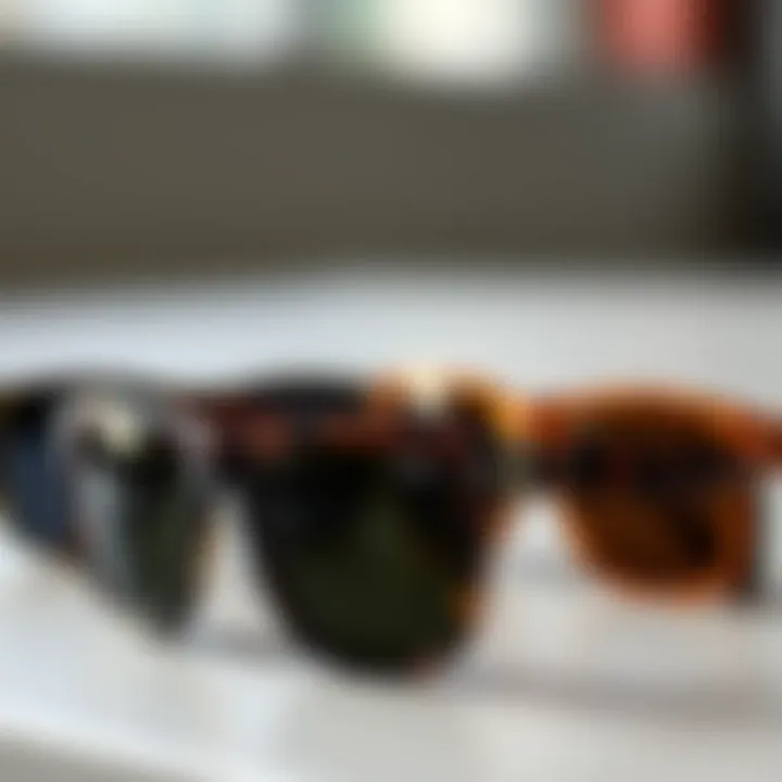 Comparative display of Oakley Holbrook XL tortoise shell sunglasses alongside other models for visual contrast.