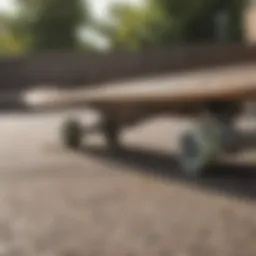 Close-up of skateboard deck showcasing Arbor Formula design elements