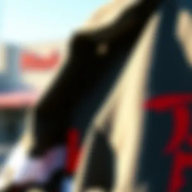 Intricate Design Details of Hisoka Hoodie Close-up of the unique design elements of Hisoka hoodie