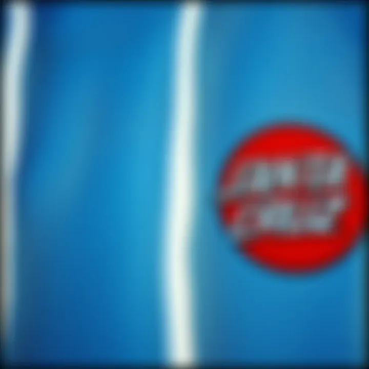 Close-up of the Santa Cruz hoodie fabric and design