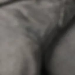 Detailed view of ThirtyTwo Sweeper Pants showcasing the fabric texture.