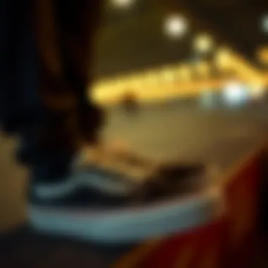 Vans collaboration with renowned skate artists