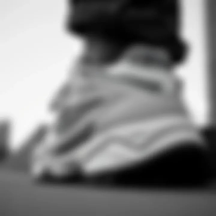 Fila Disruptor 2: A Fashion Statement Stylish view of Fila Disruptor 2 in black and white