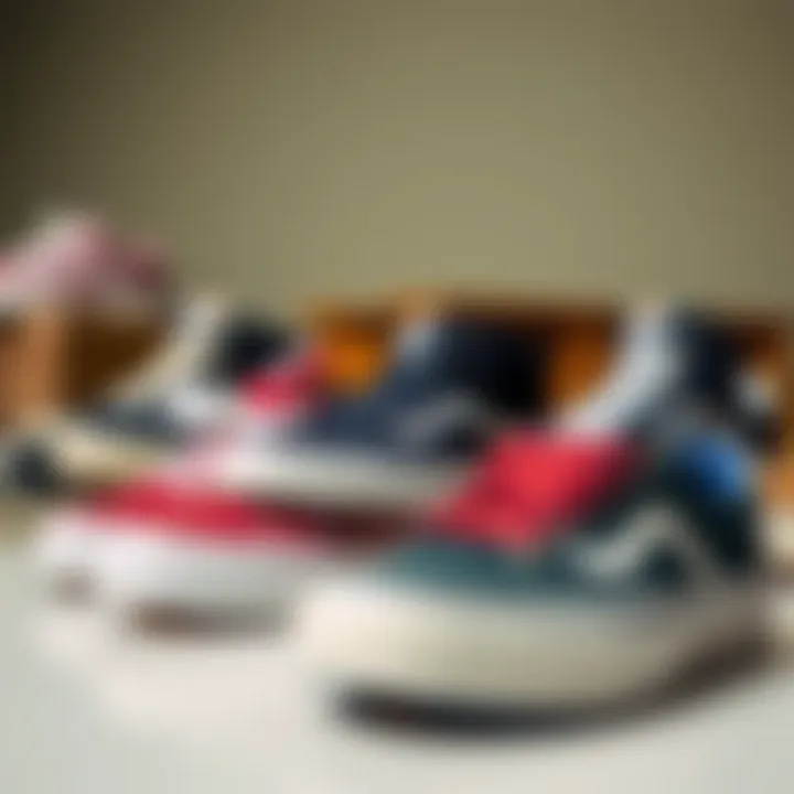 Diverse Lakai Shoe Collection Group of Lakai shoes displayed in a stylish arrangement, emphasizing variety