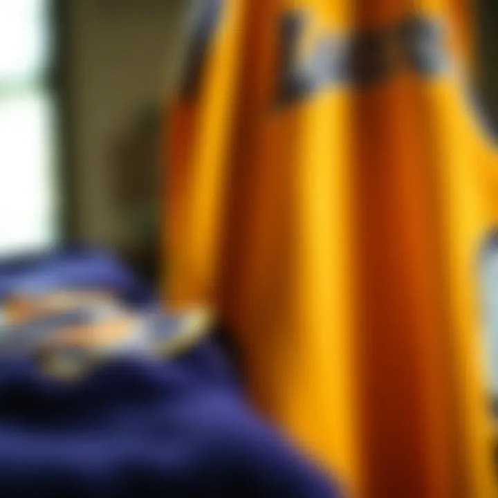 Craftsmanship Behind Mitchell and Ness Jerseys Close-up of high-quality craftsmanship in Lakers jerseys
