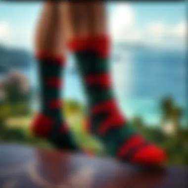 Artistic view of Stance socks with Hawaiian backdrop