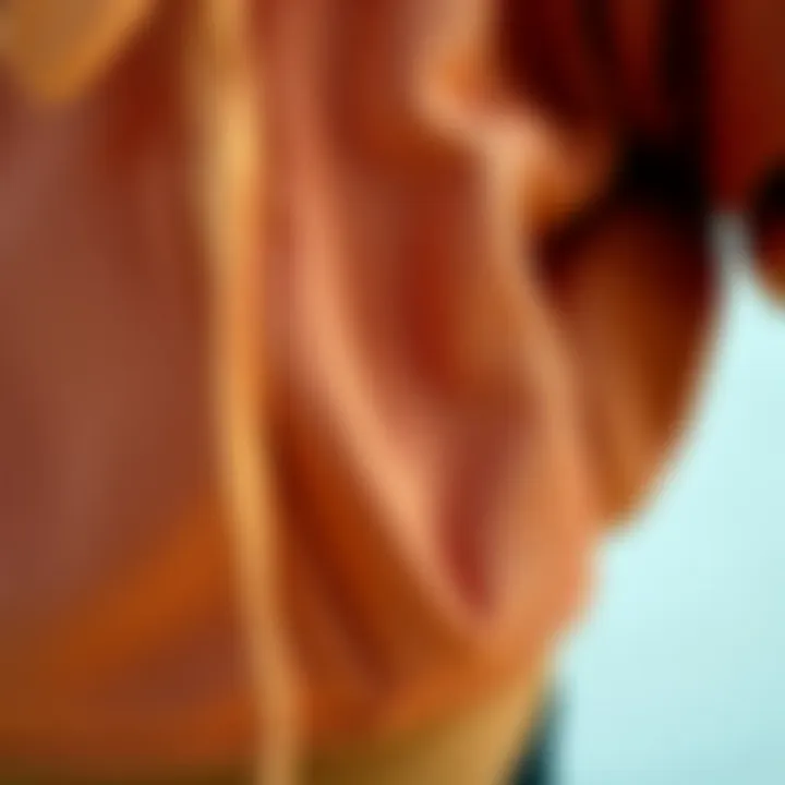 Fabric Details of Brown Cropped Hoodie Close-up of the fabric texture and details of a brown cropped hoodie