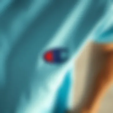 Close-up of the Champion logo on the light blue shirt