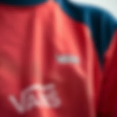 Close-up of fabric texture of Vans color block shirt