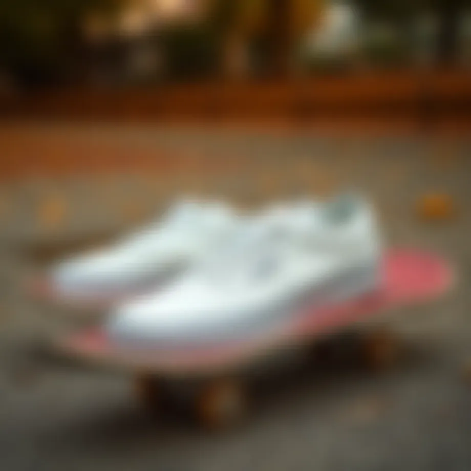 Vans Era Classic White on a skateboard deck